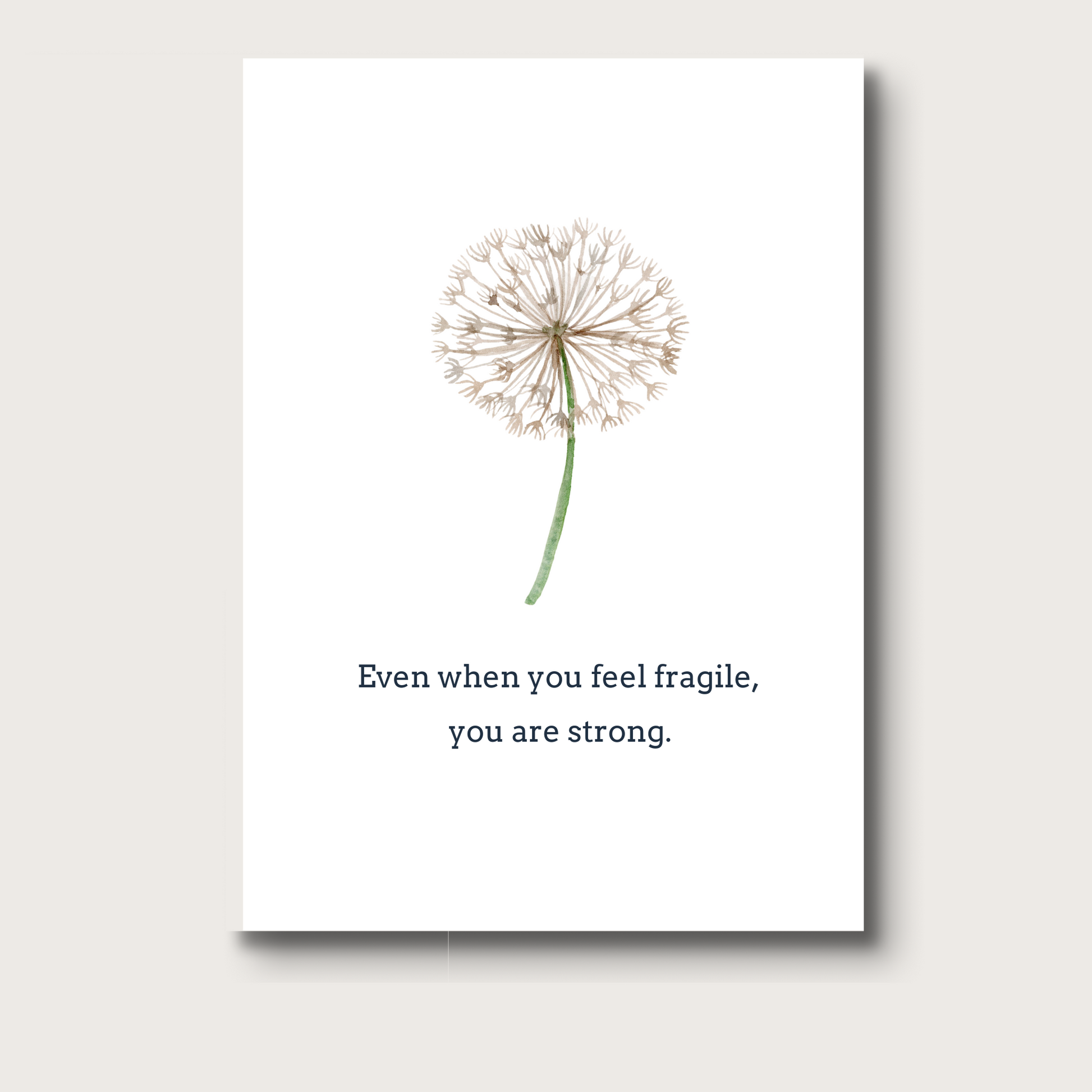 A white dandelion puff on a white background that reads "Even when you feel fragile, you are strong." A card meant to support during illness, or hospice care, or other difficult challenges. 
