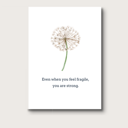 A white dandelion puff on a white background that reads "Even when you feel fragile, you are strong." A card meant to support during illness, or hospice care, or other difficult challenges. 