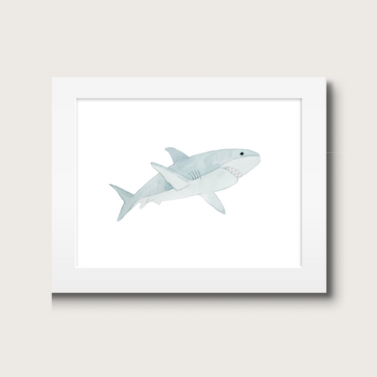Art Print - Shark